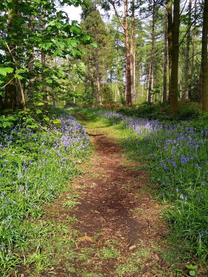 Hollicarrs - Long Lane Lodge York Bagian luar foto