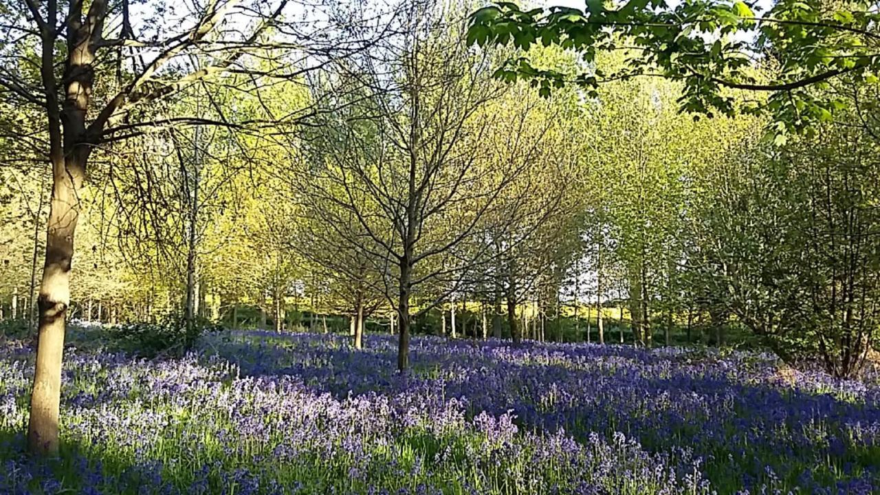 Hollicarrs - Long Lane Lodge York Bagian luar foto