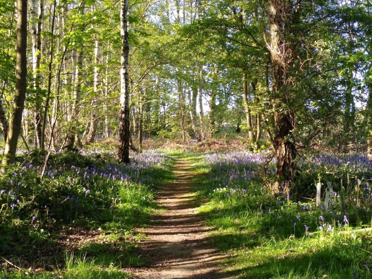 Hollicarrs - Long Lane Lodge York Bagian luar foto